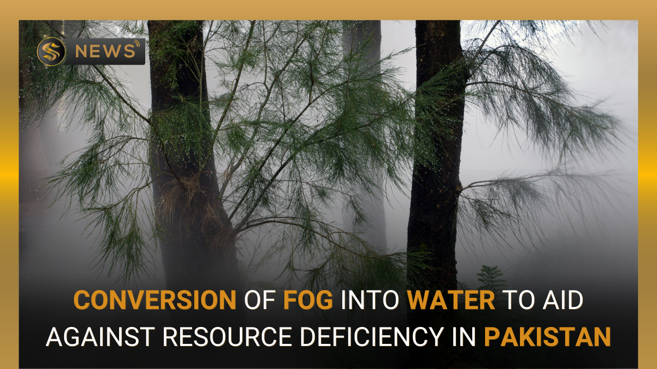 pakistan-forest-department-turning-fog-into-water