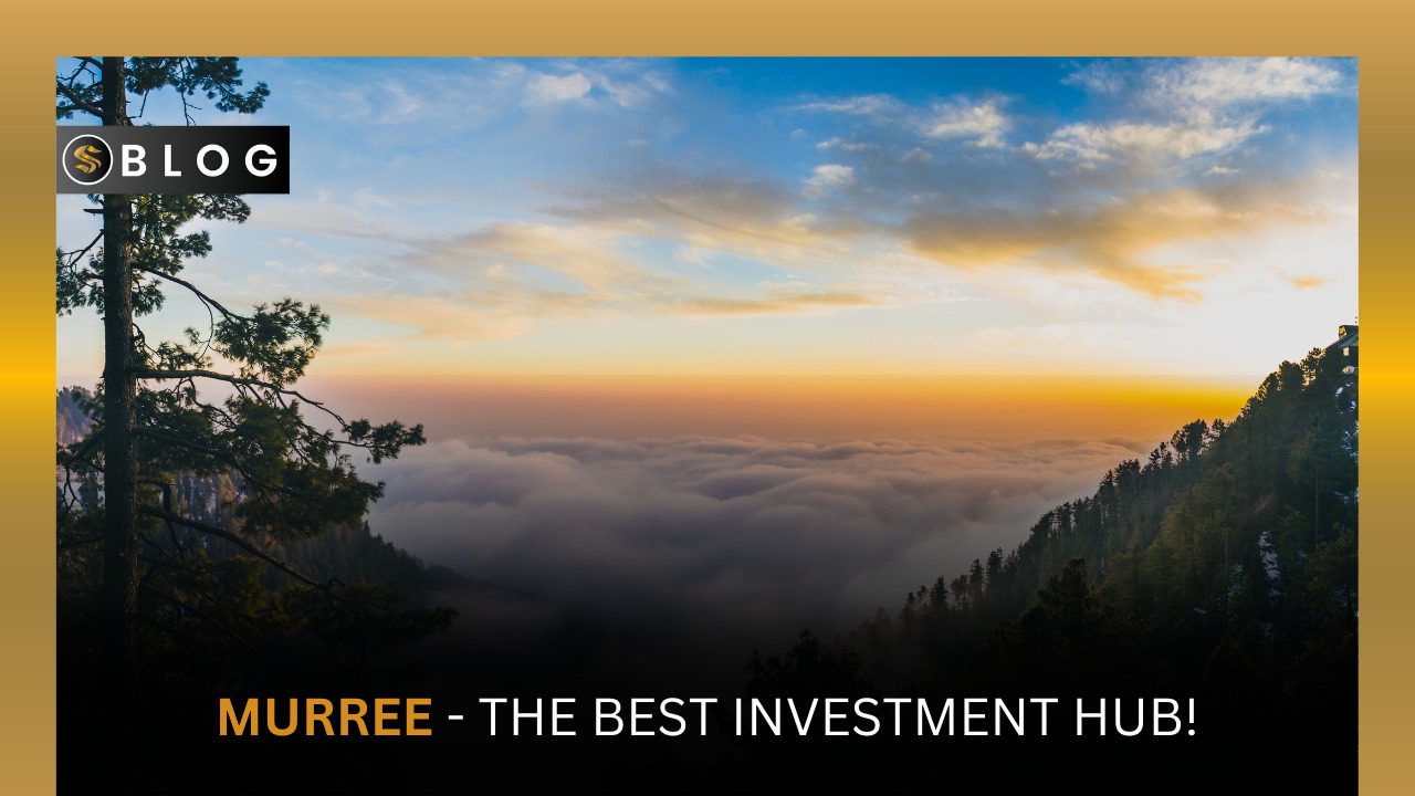 Investment in Murree