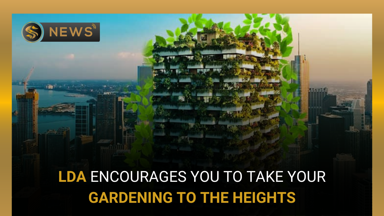 take-gardening-to-heights-encourages-lda