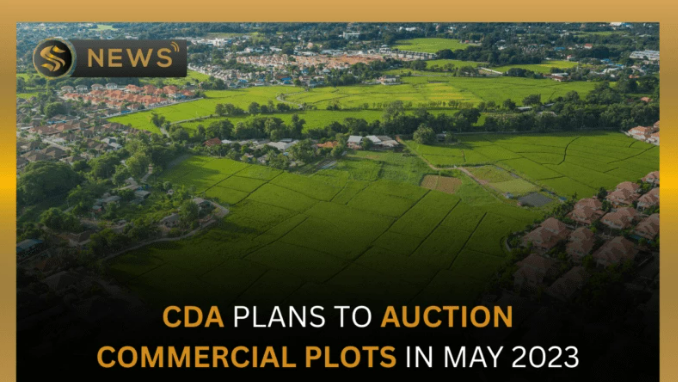 auction commercial plots