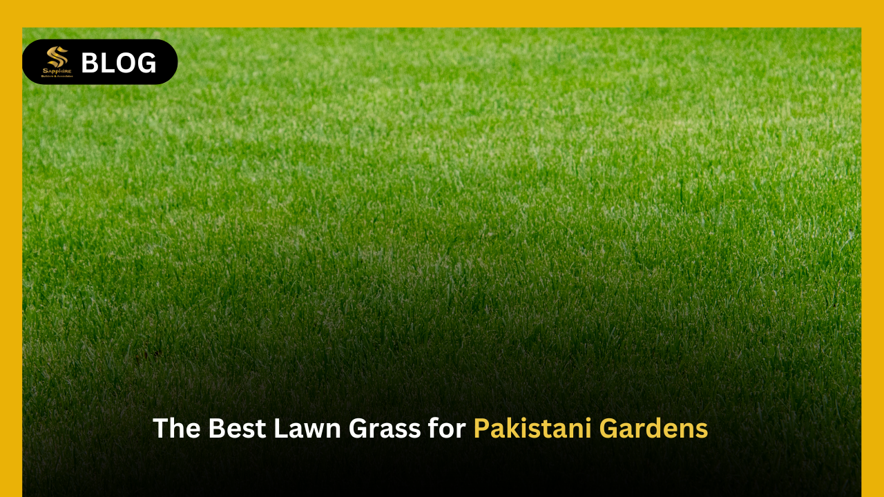 Lawn Grass in Pakistan